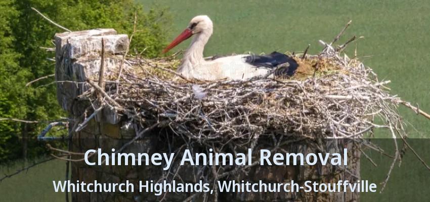 Chimney Animal Removal Whitchurch Highlands, Whitchurch-Stouffville - ON