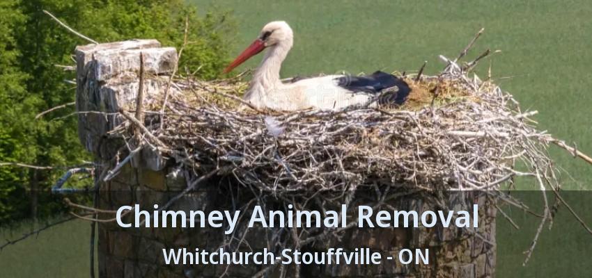 Chimney Animal Removal Whitchurch-Stouffville - ON