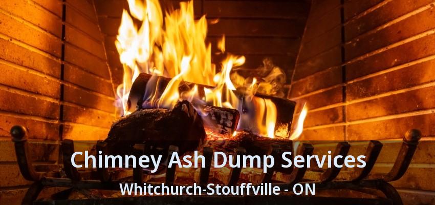 Chimney Ash Dump Services Whitchurch-Stouffville - ON