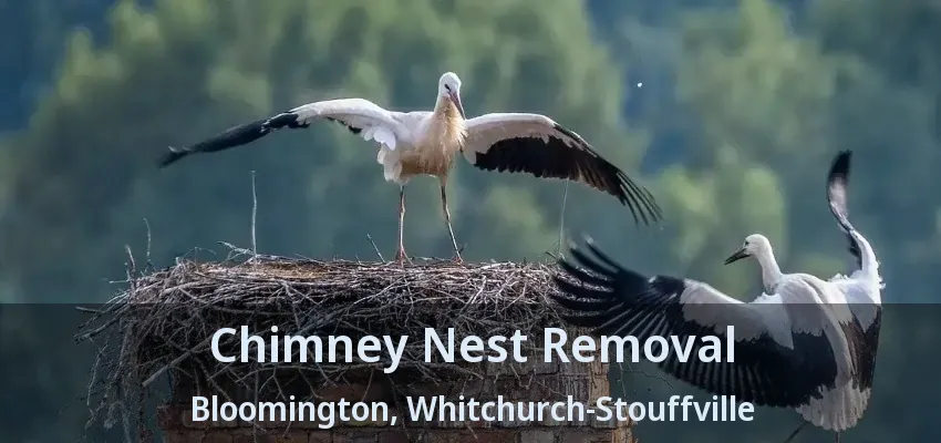 Chimney Nest Removal Bloomington, Whitchurch-Stouffville - ON