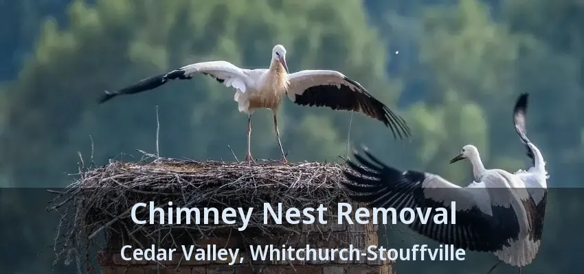 Chimney Nest Removal Cedar Valley, Whitchurch-Stouffville - ON