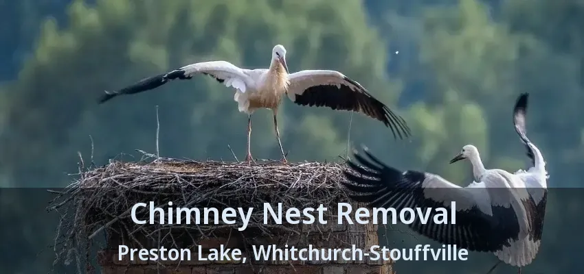 Chimney Nest Removal Preston Lake, Whitchurch-Stouffville - ON