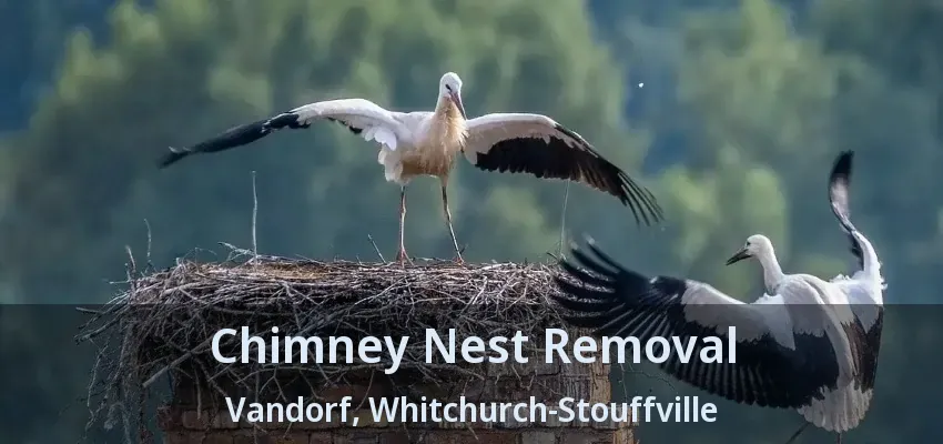 Chimney Nest Removal Vandorf, Whitchurch-Stouffville - ON