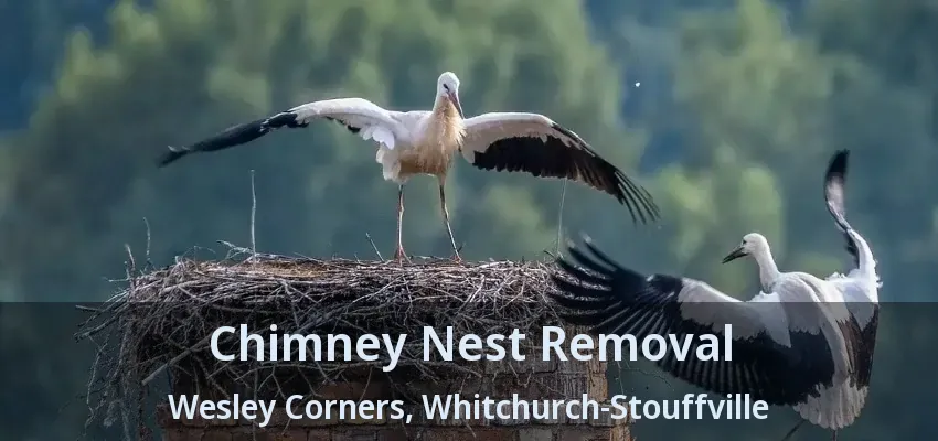 Chimney Nest Removal Wesley Corners, Whitchurch-Stouffville - ON