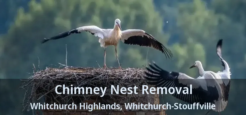 Chimney Nest Removal Whitchurch Highlands, Whitchurch-Stouffville - ON
