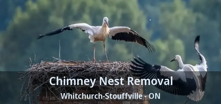 Chimney Nest Removal Whitchurch-Stouffville - ON